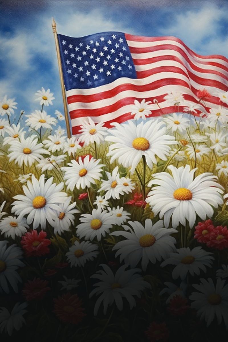 Patriotic collection - Painting by numbers shop