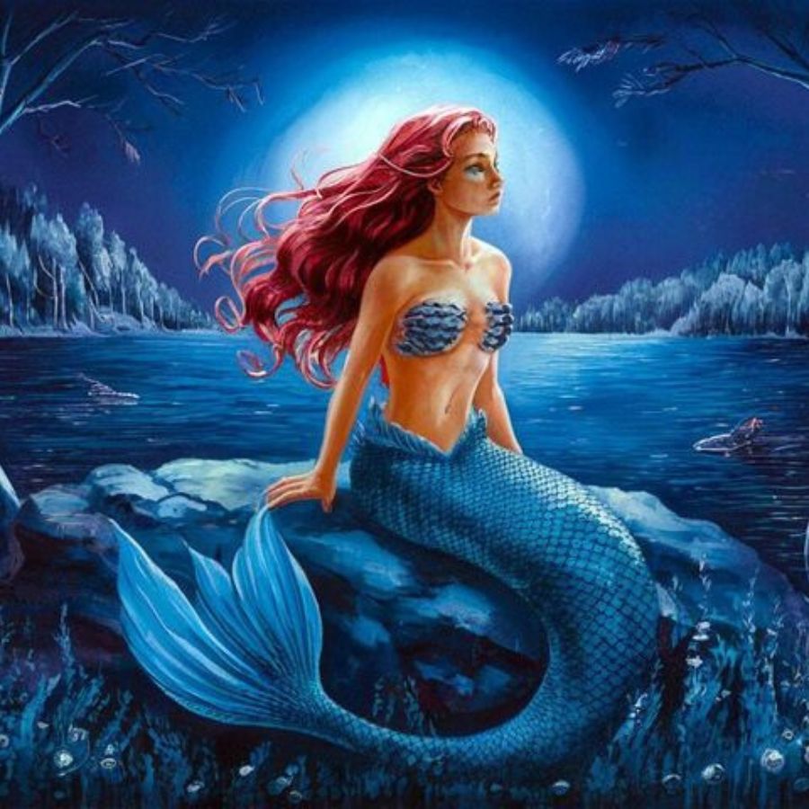 Zeemeermin verf op nummer kits - Schilderen op nummer winkel - Schilderen  op nummer winkel, image size:900x900