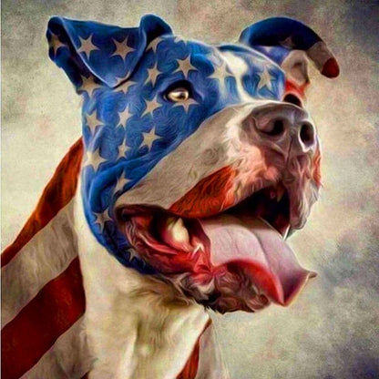 American Pitbull - Paint by numbers