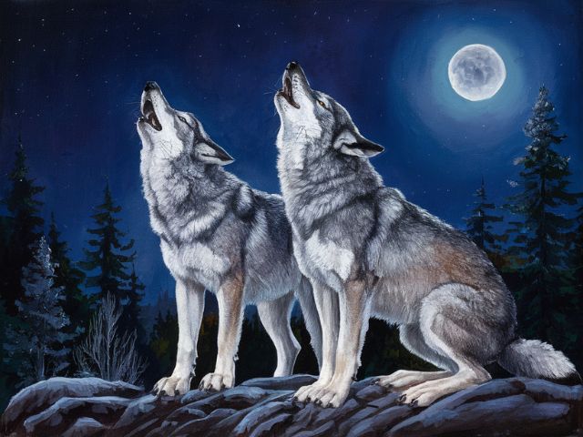 Howling Wolves - Paint by numbers