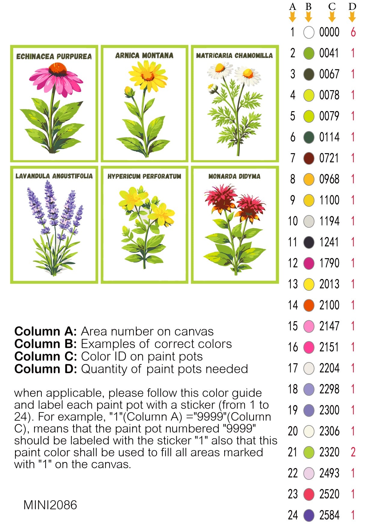 Color guide with illustrations of flowers and corresponding color codes on a white background. Medicinal Herbs 6 Pack Paint by Numbers