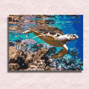 Sea Turtle II Canvas - Paint by numbers