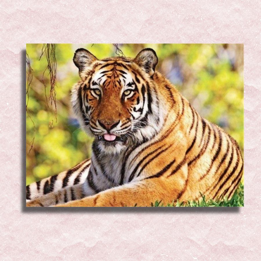 Tiger Canvas - Paint by numbers