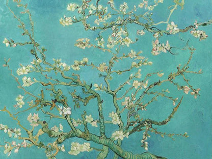 Van Gogh - Almond Blossom - Paint by numbers