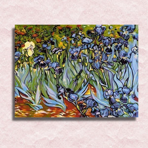 Irises - Van Gogh Canvas - Paint by numbers
