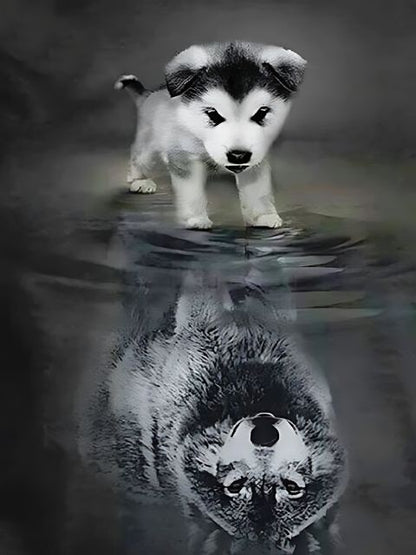 Wolf Reflection - Paint by numbers