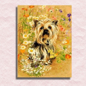 Yorkie Canvas - Paint by numbers