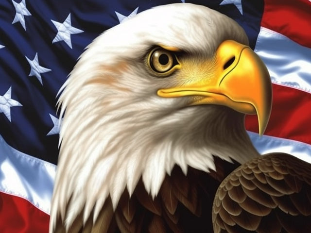 American Flag and Eagle - Paint by numbers