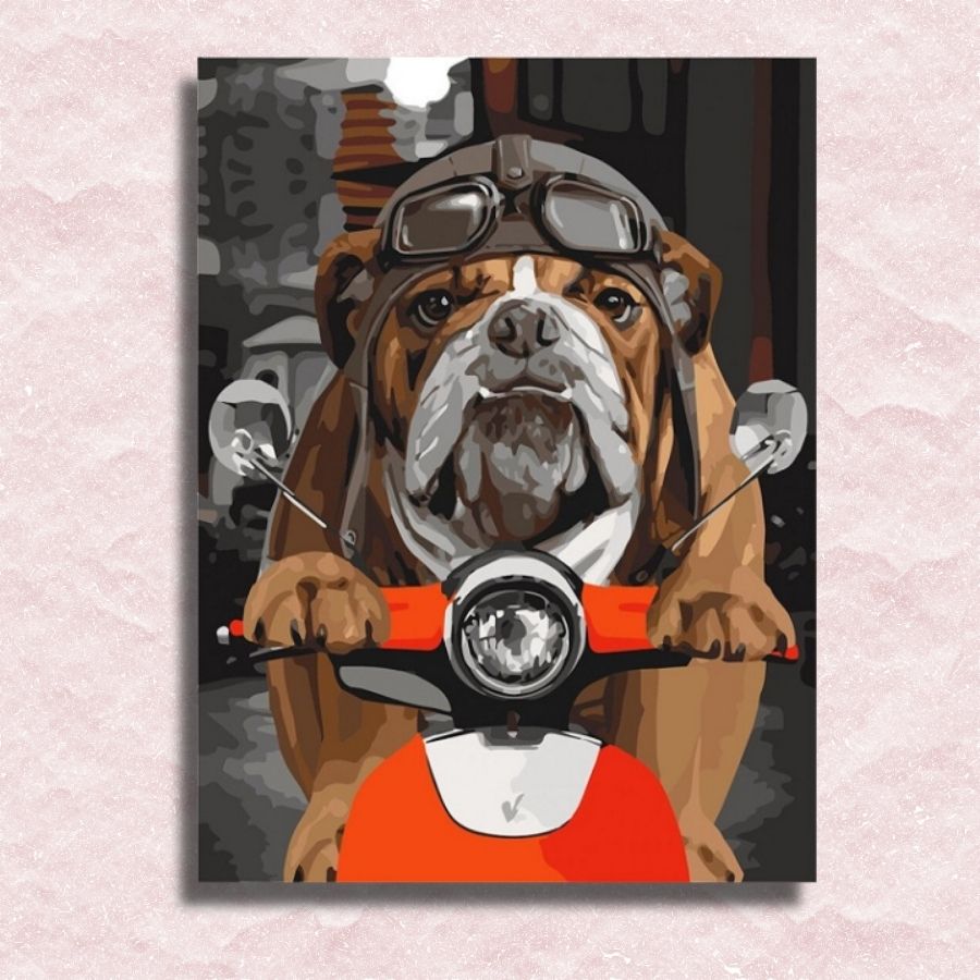 Bulldog on Motorbike Canvas - Paint by numbers