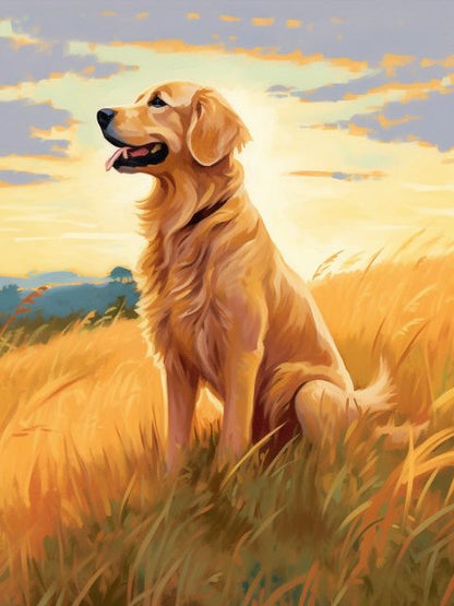 Golden Retriever - Paint by numbers