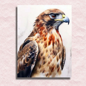 Hawk Canvas - Paint by numbers