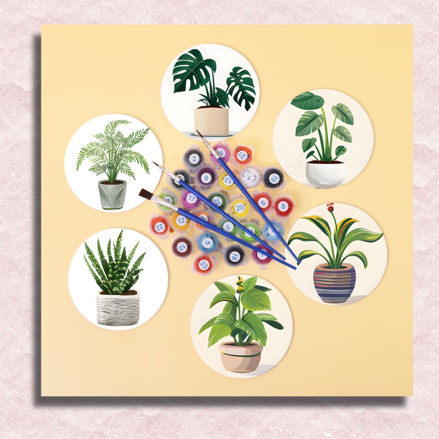 indoor plant pot coasters Houseplants Coasters 6 Pack Paint by Numbers