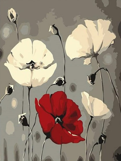 Poppies White and Red - Paint by numbers