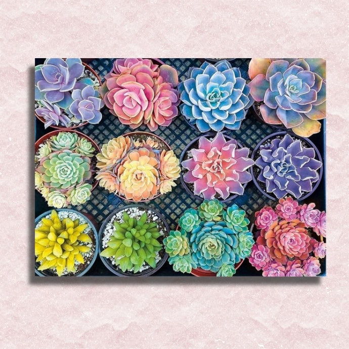 Succulents of all Colors Canvas - Paint by numbers