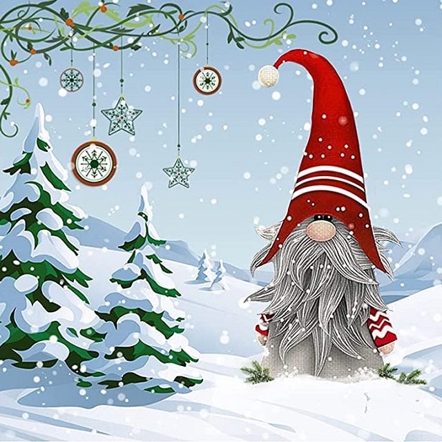 Christmas Gnome - Paint by numbers