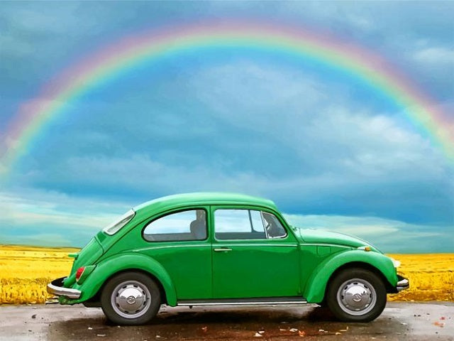 Beetle and Rainbow - Paint by numbers