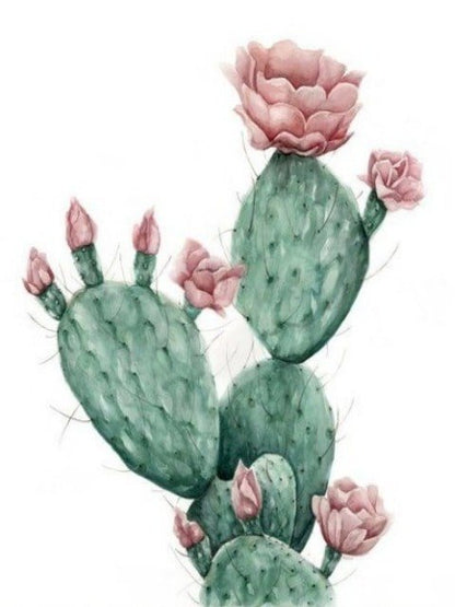 Cactus Opuntia - Paint by numbers