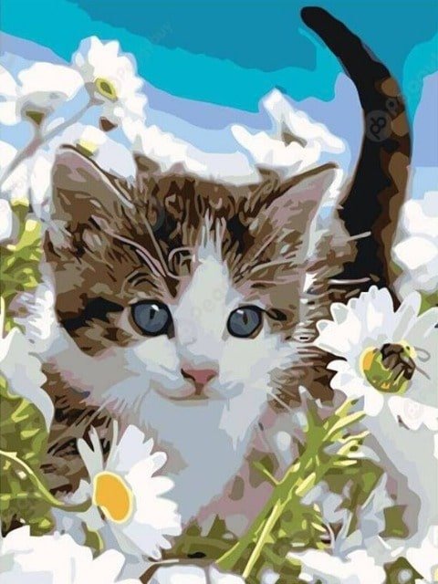 Cat and Daisies - Paint by numbers