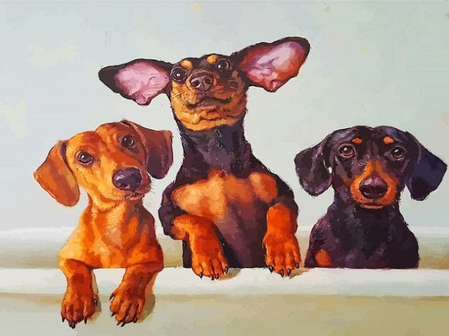 Dachshunds Dogs - Paint by numbers