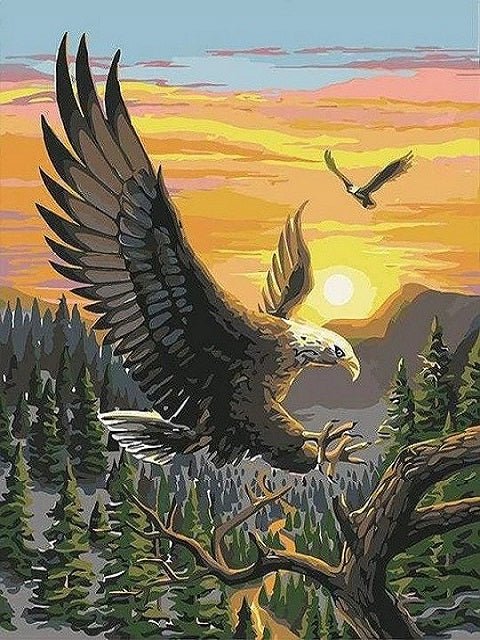 Eagle Flying High - Paint by numbers