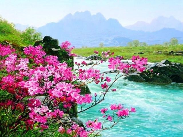 Flowers and River - Paint by numbers