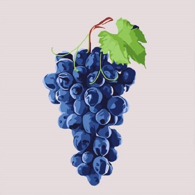 Fresh Ripe Grapes - Paint by numbers