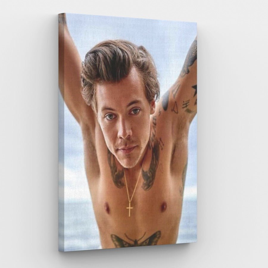 Harry Styles Painting by Numbers Shop Painting By Numbers Shop