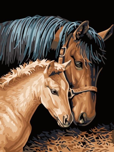 Horse and Foal - Paint by Numbers