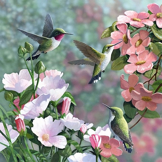 Hummingbirds and Flowers - Paint by numbers