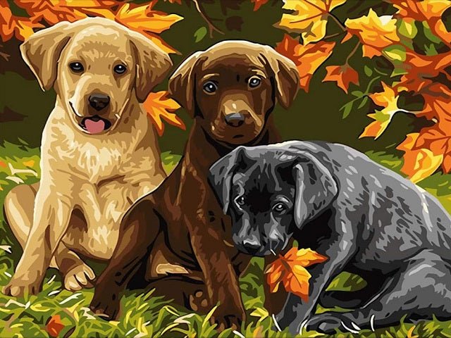 Labrador Puppies - Paint by numbers