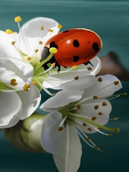 Ladybug and Lilies - Paint by numbers
