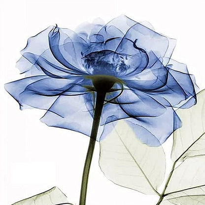 Mini Blue Rose - Paint by numbers