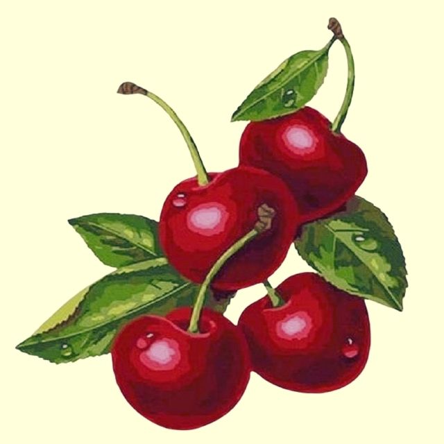 Mini Cherries - Paint by numbers