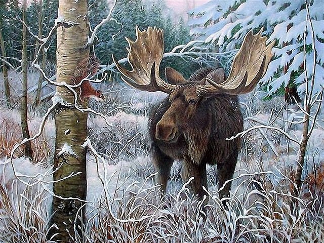 Moose in Winter Forrest - Paint by numbers