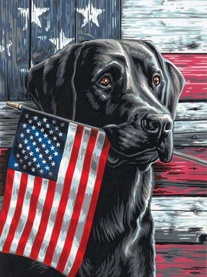 Patriotic Dog - Paint by numbers