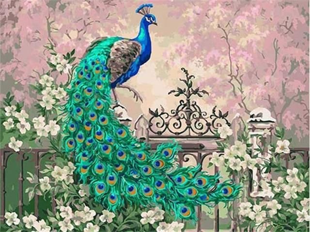 Mrnsiet Peacock Paint by Numbers for Adults，DIY Paint by Number  Kits for Beginners，Colorful Peacock Oil Painting Canvas for Home Wall Decor  16x20Inch : Toys & Games