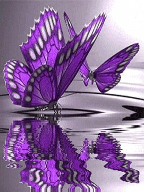 Purple Butterflies Animals Paint By Numbers - Paint By Numbers