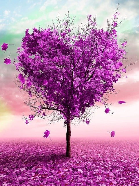 Purple Heart Tree - Paint by numbers