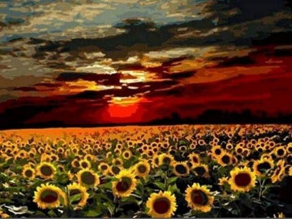 Sunflower Field - Paint by numbers