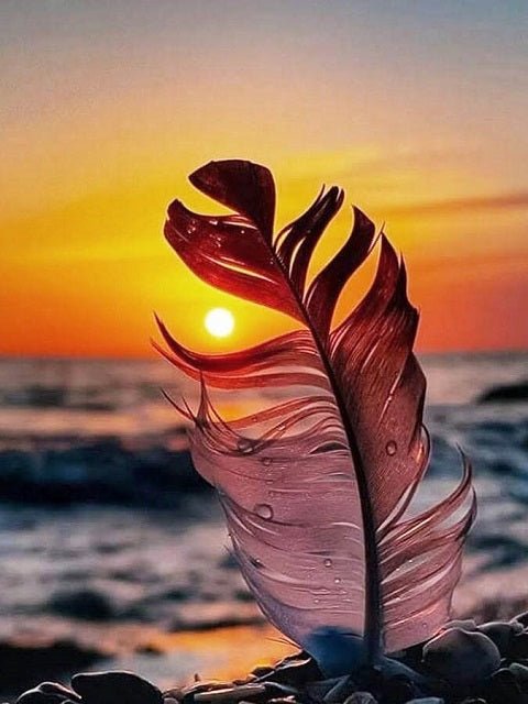 Sunset Feather - Paint by numbers