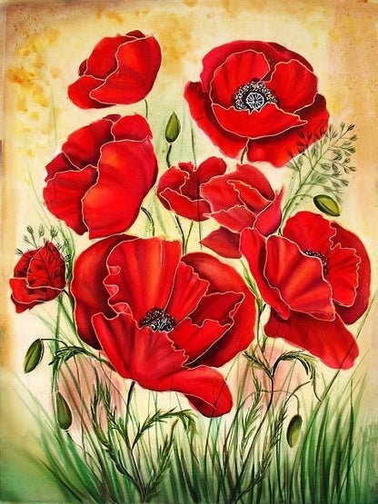 Wild Red Poppy Flowers - Paint by numbers