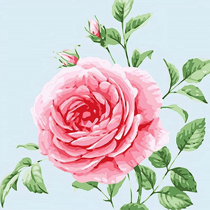 Wild Rose - Paint by numbers