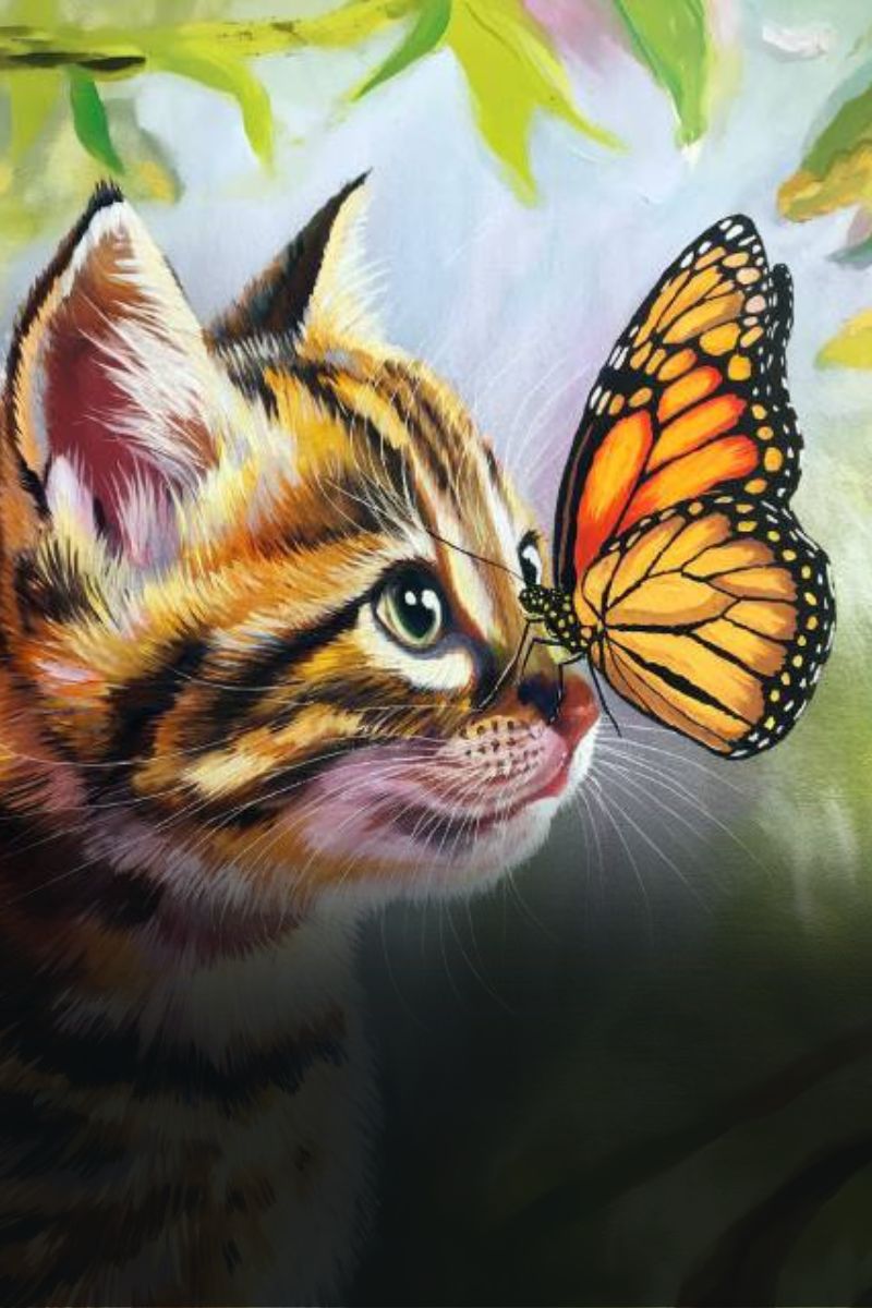 Cats Collection Paint by Numbers