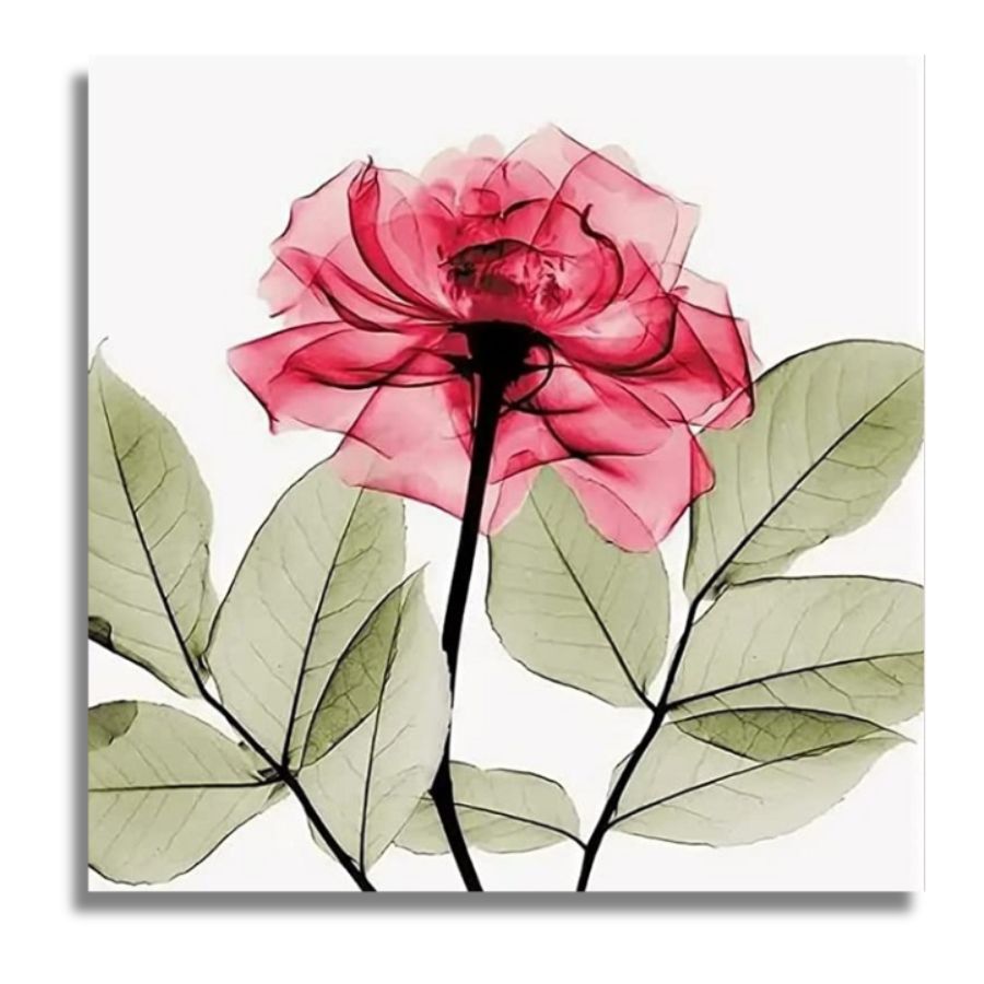 Rose Paint by Numbers