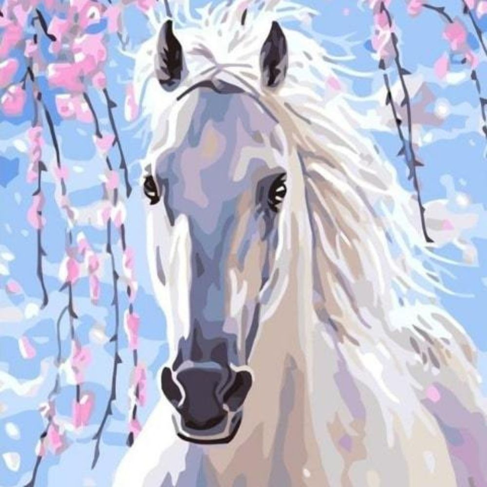 Horse Paint by Numbers - Painting by numbers shop