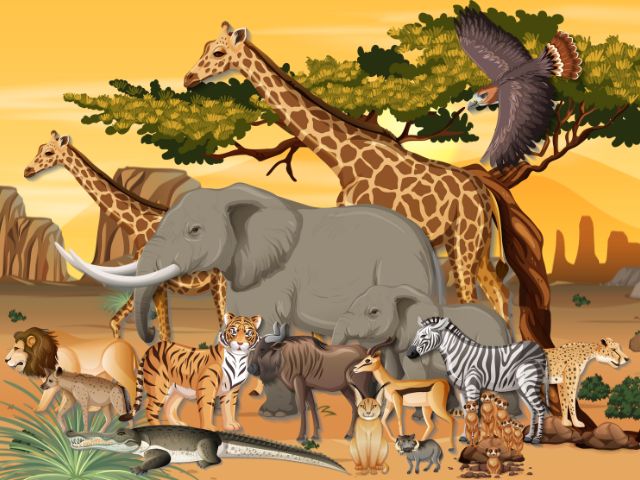 African Savanna Animals - Painting by numbers shop