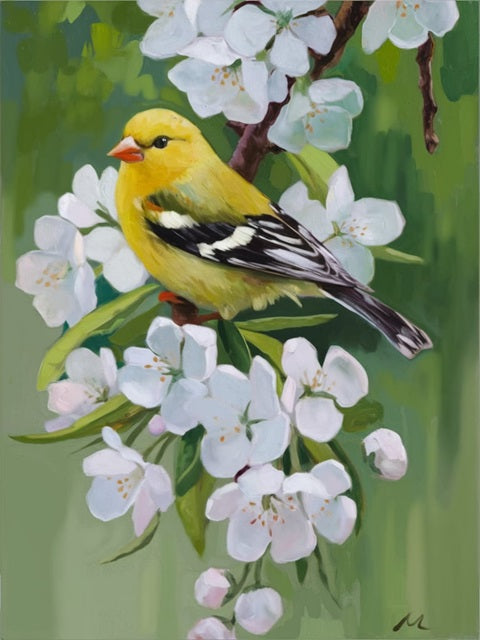 Bird on Blossom Tree - Paint by numbers