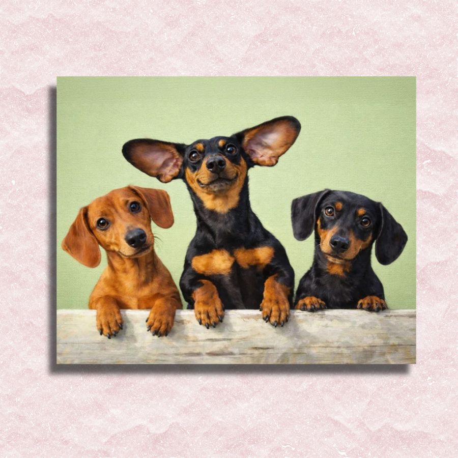 Three dachshunds sitting together on a wooden surface with a light green background. Dachshunds Dogs - Paint by numbers