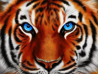 Blue Eyed Tiger - Paint by numbers