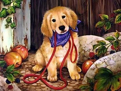 Dog Puppy - Painting by numbers shop